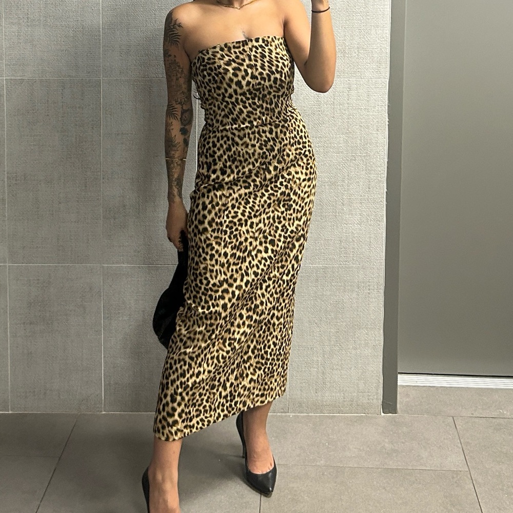 Zara Animal Print dress